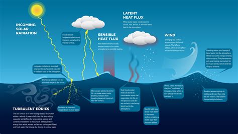 海の水がしょっぱい理由、それは宇宙の涙かもしれない